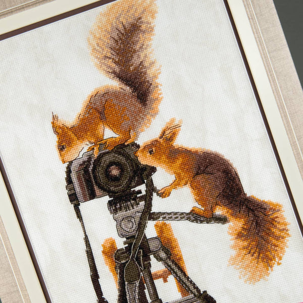 DIY Counted Cross Stitch Kit