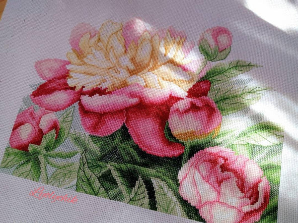 Counted Cross Stitch Kit