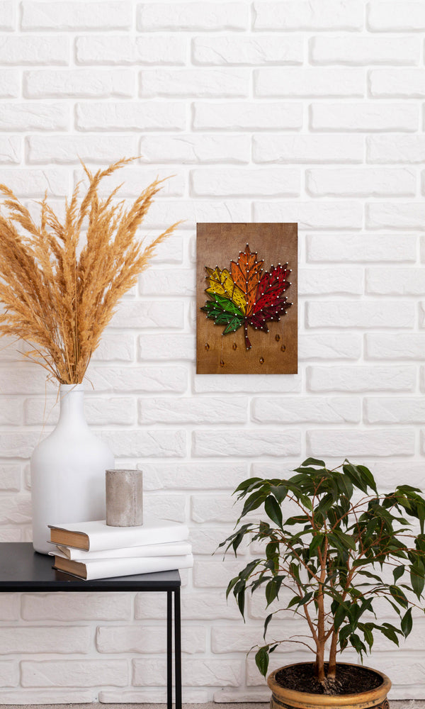 String Art Creative DIY Kit