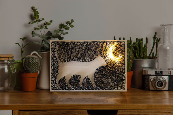 String Art Creative DIY Kit