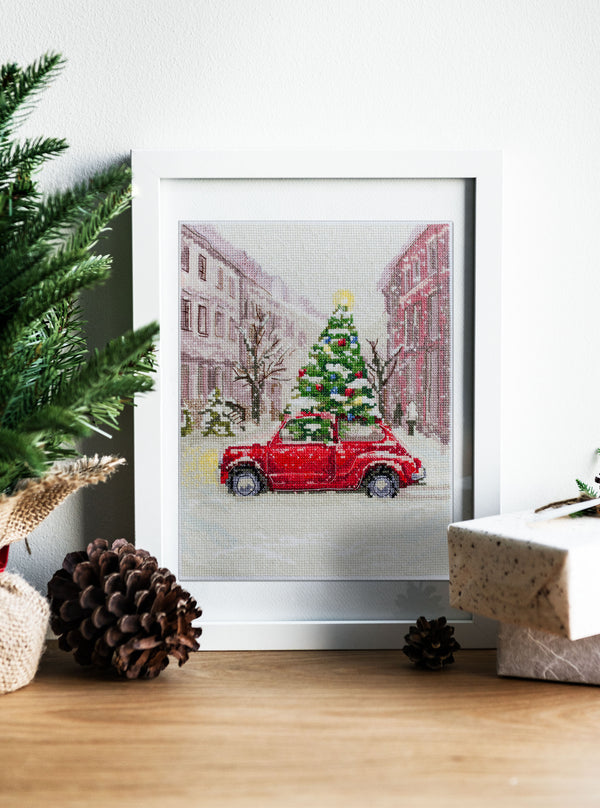 DIY Cross Stitch Kit