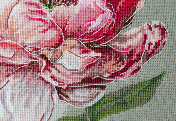 DIY Cross Stitch Kit