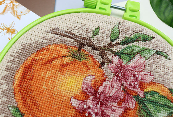 Counted Cross Stitch Kit