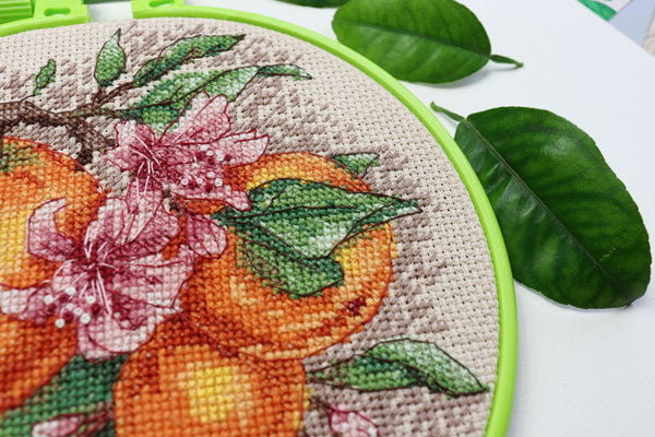 Counted Cross Stitch Kit