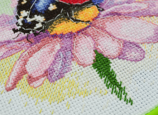 Counted Cross Stitch Kit