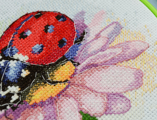 Counted Cross Stitch Kit