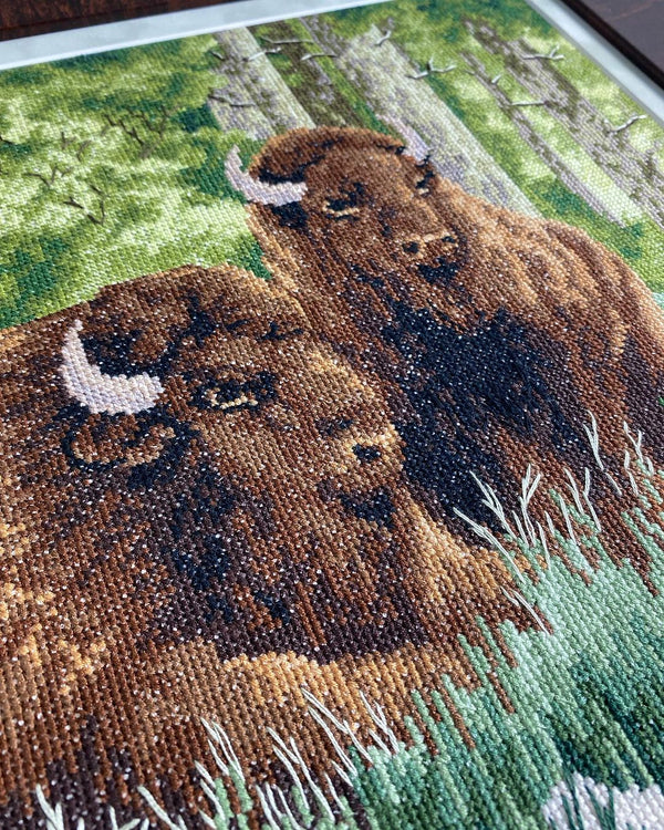 DIY Counted Cross Stitch Kit