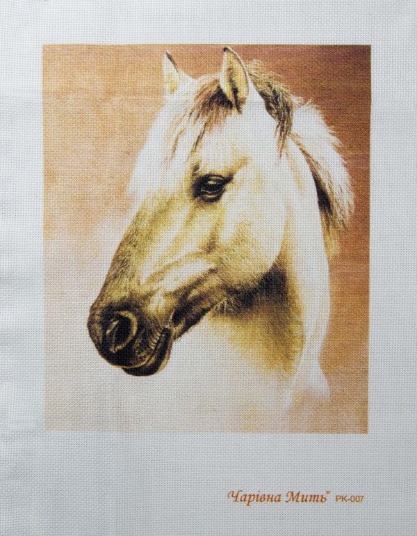 DIY Cross stitch kit with a printed canvas