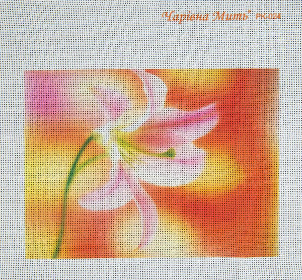 DIY Cross stitch kit with a printed canvas