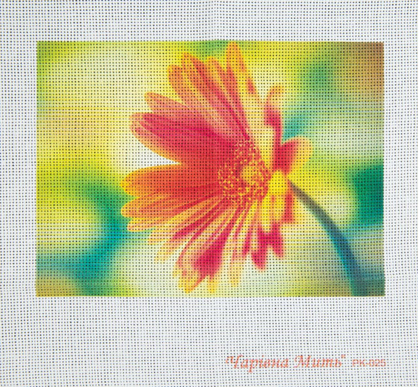 DIY Cross stitch kit with a printed canvas