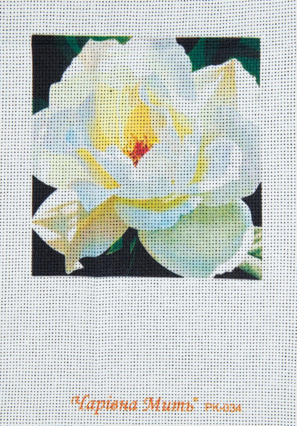 DIY Cross stitch kit with a printed canvas