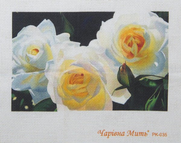 DIY Cross stitch kit with a printed canvas