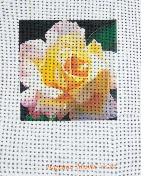 DIY Cross stitch kit with a printed canvas