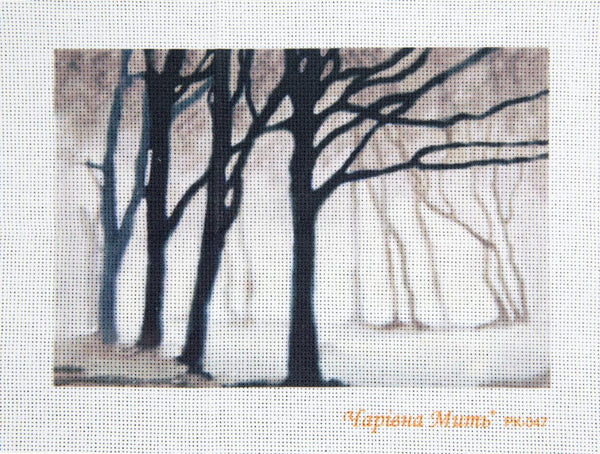 DIY Cross stitch kit with a printed canvas