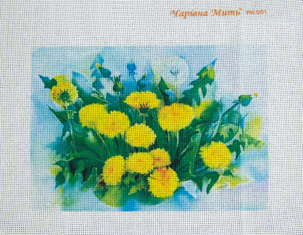 DIY Cross stitch kit with a printed canvas