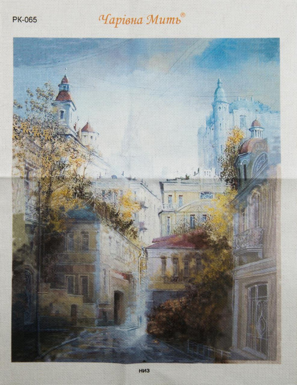 DIY Cross stitch kit with a printed canvas