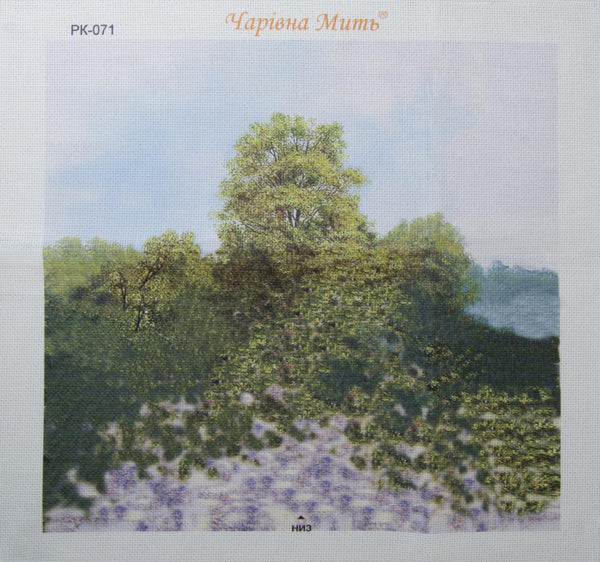 DIY Cross stitch kit with a printed canvas