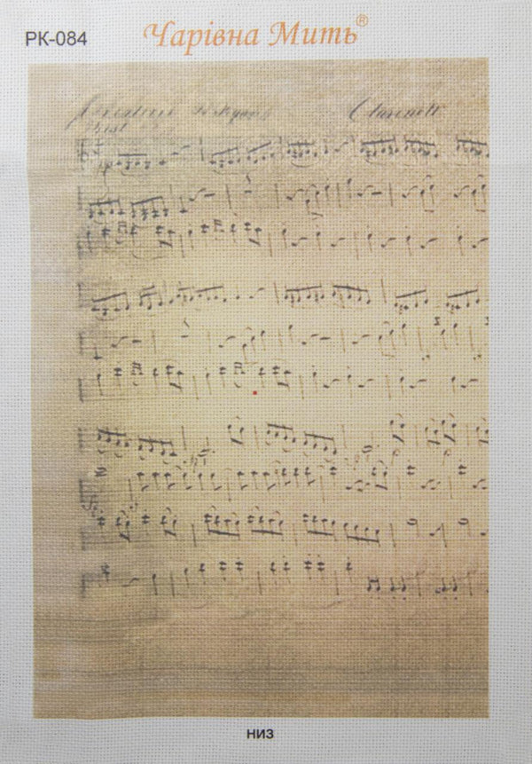 DIY Cross stitch kit with a printed canvas