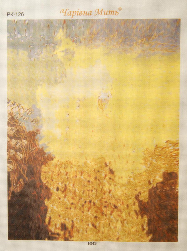 DIY Cross stitch kit with a printed canvas