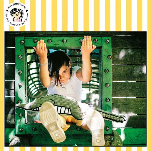 DIY Cross Stitch Cushion Kit