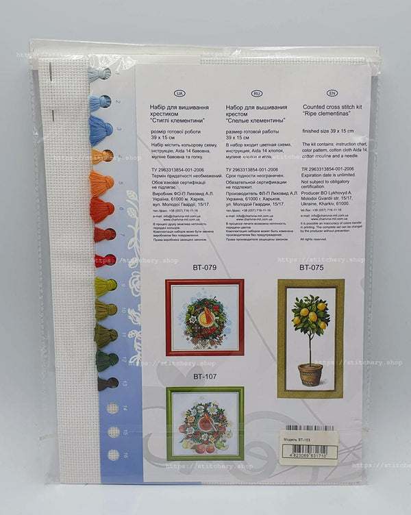 Counted Cross Stitch Kit