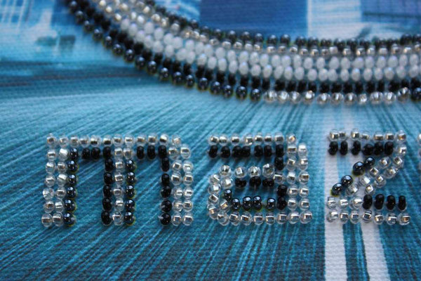 DIY Bead Embroidery Kit