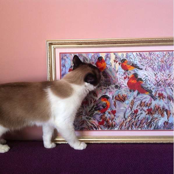 DIY Bead Embroidery Kit