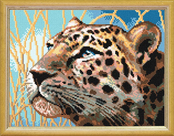 Needlepoint Canvas
