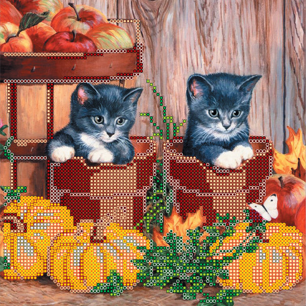 Canvas for bead embroidery