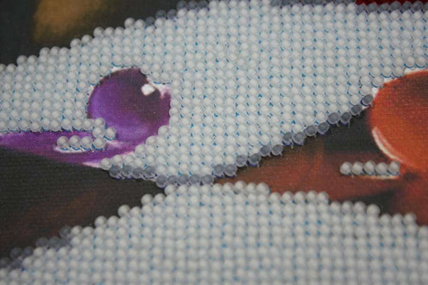 DIY Bead Embroidery Kit
