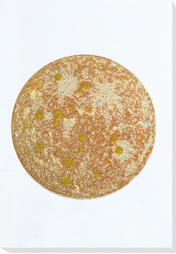 DIY Bead Embroidery Kit