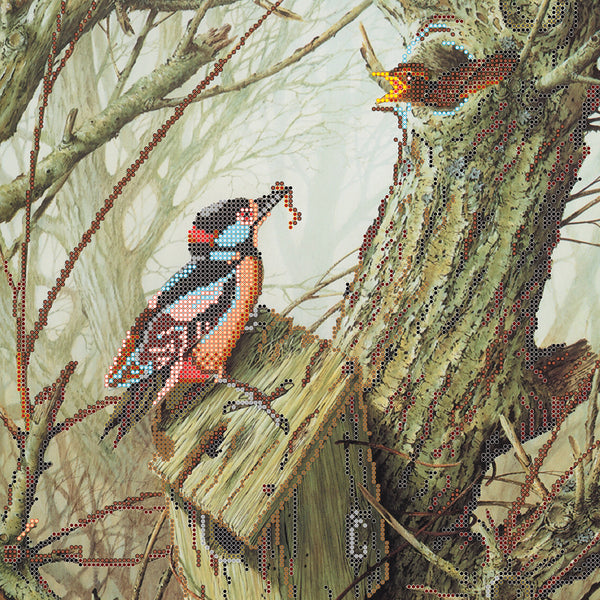 Canvas for bead embroidery