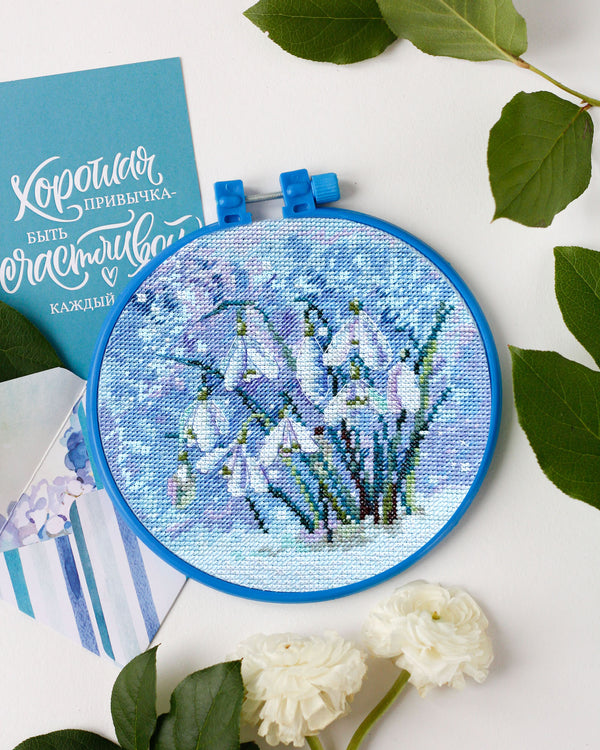 Counted Cross Stitch Kit