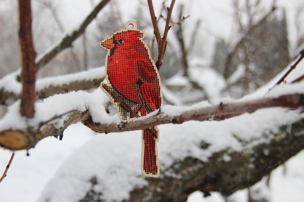 DIY Cross stitch kit on wood