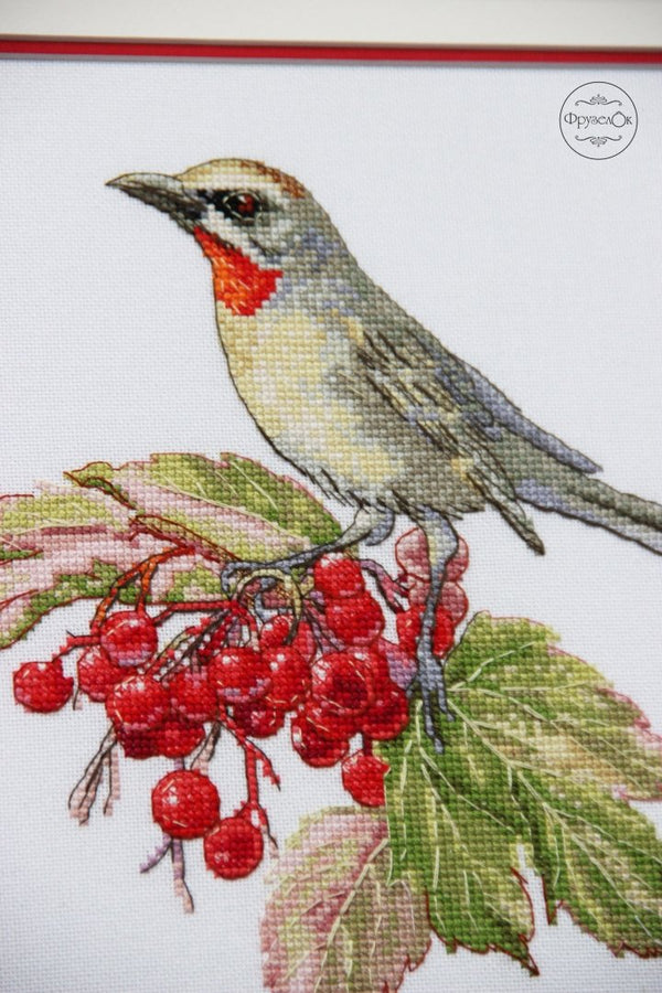 DIY Cross Stitch Kit