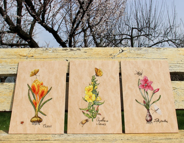 DIY Cross Stitch Kit