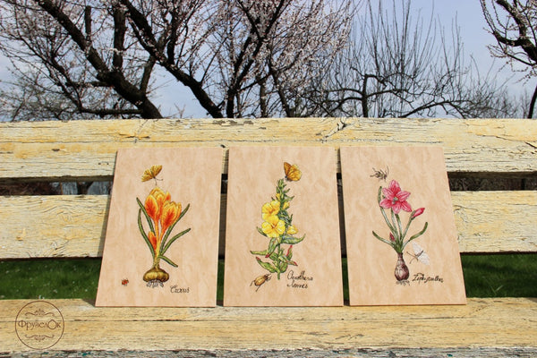 DIY Cross Stitch Kit