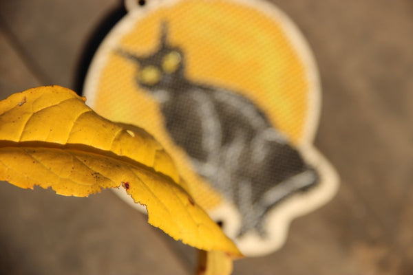 DIY Cross stitch kit on wood