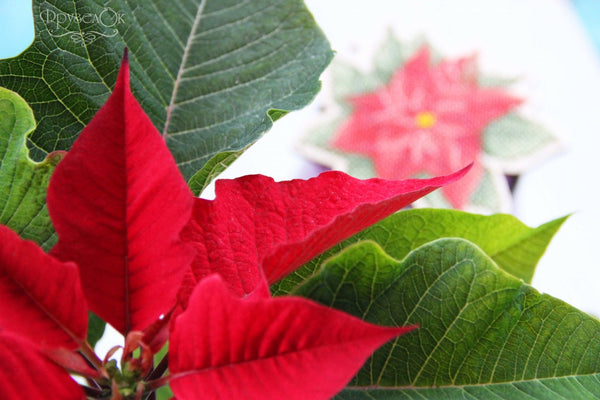 DIY Cross stitch kit on wood