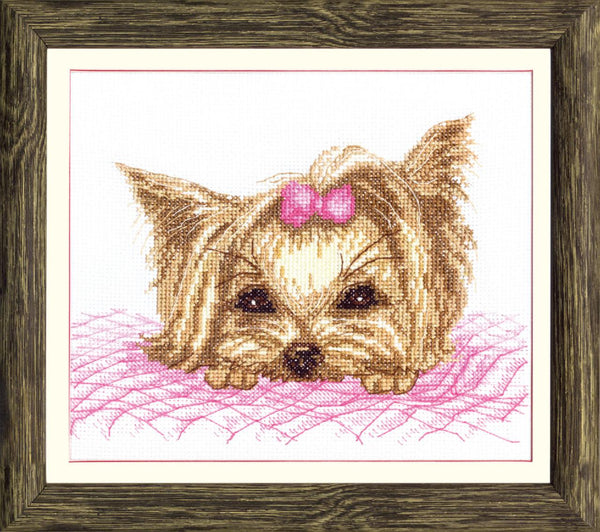 DIY Counted Cross Stitch Kit