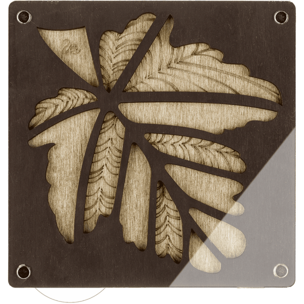 Wood bead organizer with transparent lid