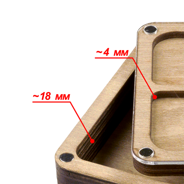 Multilayer bead organizer with transparent lid