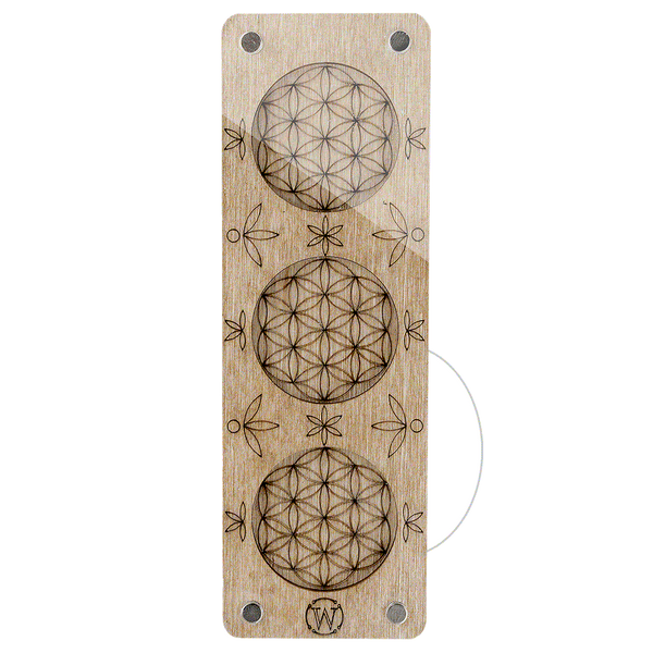 Wood bead organizer with transparent lid