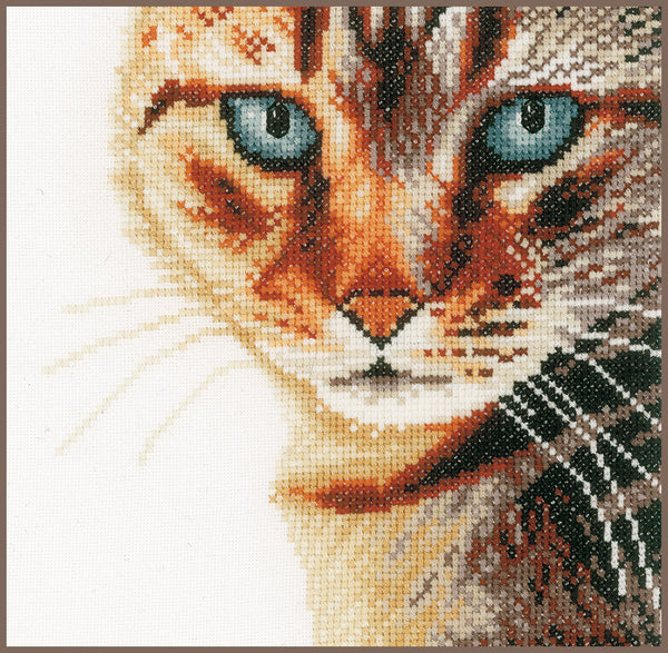 DIY Counted cross stitch kit Cat close-up