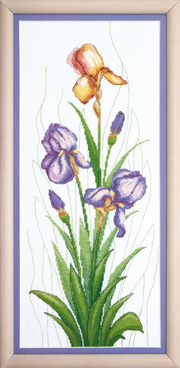 Counted Cross Stitch Kit