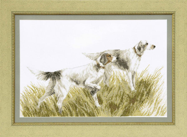 Counted Cross Stitch Kit