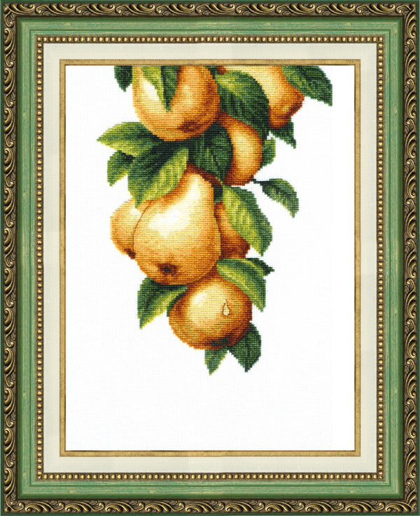 Counted Cross Stitch Kit