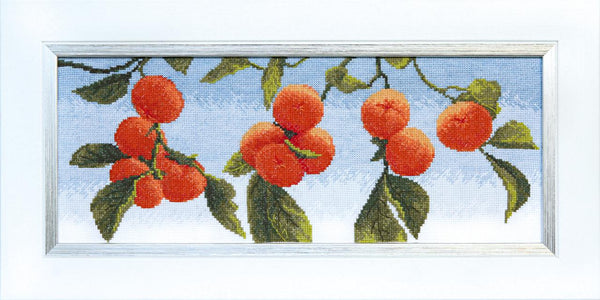 Counted Cross Stitch Kit