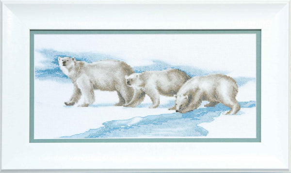 Counted Cross Stitch Kit