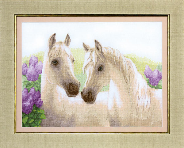 Counted Cross Stitch Kit